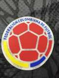 2026 Colombia Black Player Training Shirts