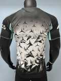 [PLAYER] 26/27 AD-Ben Special Edition Gray Player Soccer jersey