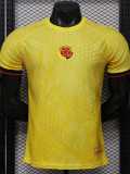 2026 Colombia Yellow Player Training Shirts
