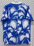 26/27 Cape Verde Blue Training Shirts