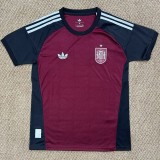 2026 Spain Goalkeeper brown Brown Fans Soccer jersey