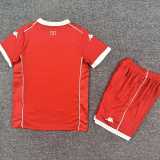 2026 Tunisia Home Red Fans Kids Soccer jersey