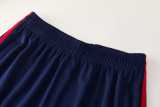 2026 AD Royal blue Training Shorts Suit