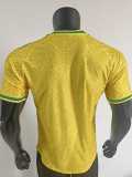 [PLAYER] 2026 South Africa Home Player Soccer jersey