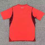 2026 Turkey Away Red Fans Soccer jersey
