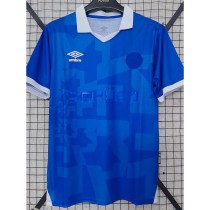2025/26 Arminia Bielefeld 100th Anniversary Edition Blue Fans Soccer jersey