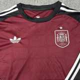 2026 Spain Goalkeeper brown Brown Fans Long Sleeve Soccer jersey