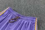 2026/27 Man Utd Purple Training Shorts Suit