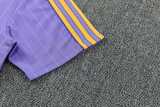2026/27 Man Utd Purple Training Shorts Suit