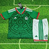 2026 Mexico Home Green Fans Kids Soccer jersey
