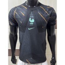 [PLAYER] 2026 France GKR Gray Player Soccer jersey