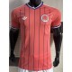 [PLAYER] 2026 Scotland Away Pink Player Soccer jersey