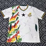 2026 Ghana White Training Shirts