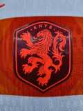 [PLAYER] 2026 Netherlands Away Player Soccer jersey