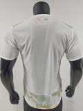 [PLAYER] 2026 Ivory Coast Away Player Soccer jersey