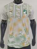 [PLAYER] 2026 Ivory Coast Away Player Soccer jersey