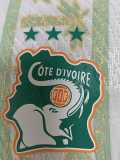 [PLAYER] 2026 Ivory Coast Away Player Soccer jersey