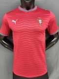 [PLAYER] 2026 Portugal Home Red Player Soccer jersey