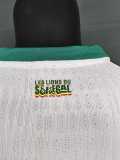[PLAYER] 2026 Senegal Home Player Soccer jersey