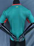 [PLAYER] 2026 Senegal Away Player Soccer jersey