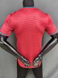 [PLAYER] 2026 Portugal Home Red Player Soccer jersey