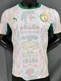 [PLAYER] 2026 Senegal Home Player Soccer jersey