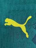 [PLAYER] 2026 Senegal Away Player Soccer jersey
