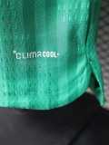 [PLAYER] 2026 Algeria Away Player Soccer jersey