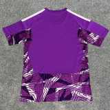 2026/27 Cruzeiro GKP Purple Fans Soccer jersey