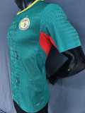 [PLAYER] 2026 Senegal Away Player Soccer jersey