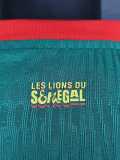 [PLAYER] 2026 Senegal Away Player Soccer jersey