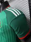 [PLAYER] 2026 Algeria Away Player Soccer jersey