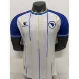 [PLAYER] 2026 Bosnia and Herzegovina Away Player Soccer jersey