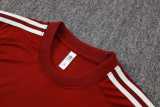 2026 Spain Brown Red Training Shorts Suit