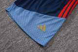 2026/27 Bayern Royal blue Training Shorts Suit