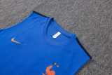 2026 France Blue Training Shorts Suit