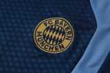 2026/27 Bayern Royal blue Training Shorts Suit