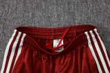 2026 Spain Brown Red Training Shorts Suit