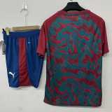 2026 Portugal Red Training Shorts Suit