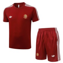 2026 Spain Brown Red Training Shorts Suit