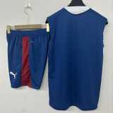 2026 Portugal Training Shorts Suit