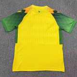 2026/27 FC Nantes Home Fans Soccer jersey