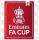 FA CUP8