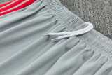 2026/27 LIV Gray Training Shorts Suit