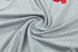 2026/27 LIV Gray Training Shorts Suit