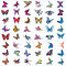 50 Butterflies