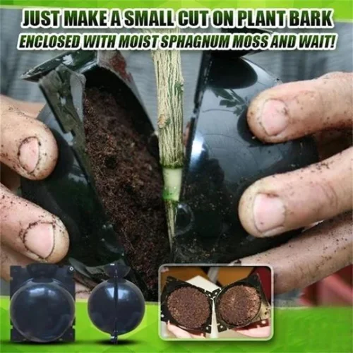 💖Arbor Day Hot Sale-50%Off🔥Plant Root Growing Box🌱