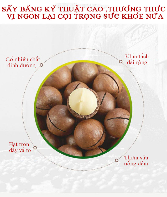 澳洲坚果干 Hạt macadamia khô