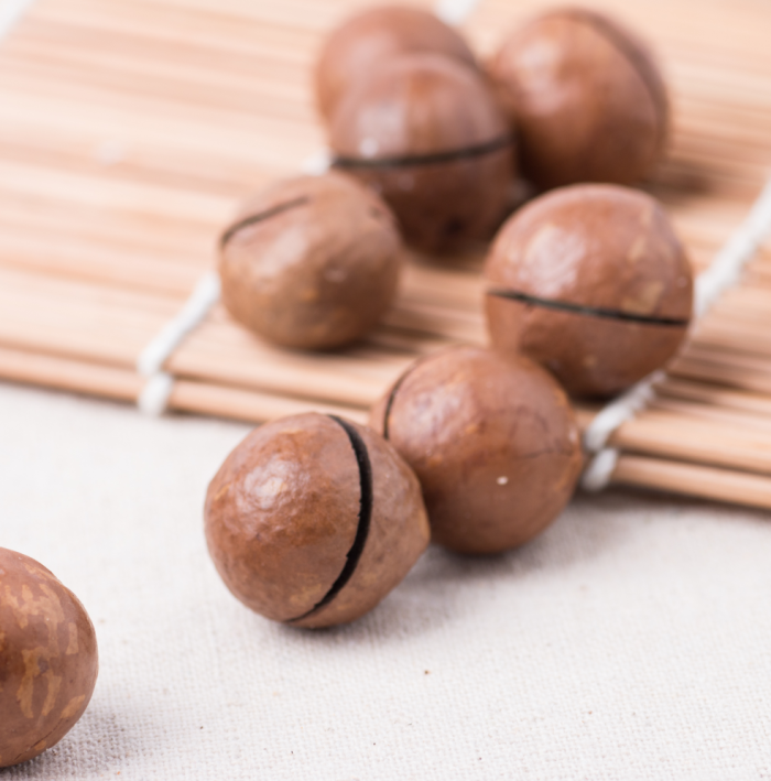 澳洲坚果干 Hạt macadamia khô