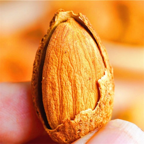 新疆巴旦杏仁 hạnh nhân Tân Cương